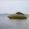 images/Schweden/Schweden 2009/IMG_4407.jpg